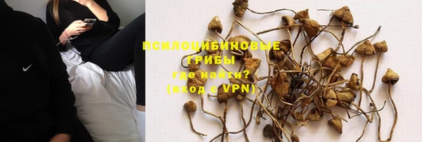 а пвп мука Абаза