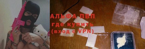 гашик Осташков