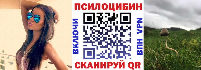 Галлюциногенные грибы Psilocybine cubensis  кракен ONION  shop формула  Мегион 